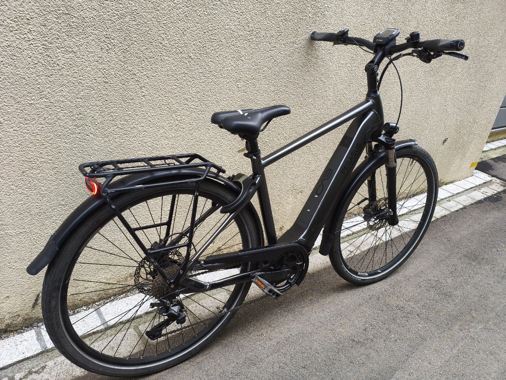 Velos: E-bike Pegasus Grösse L  – Gebraucht aus Nussbaumen AG von Trtznd21 7