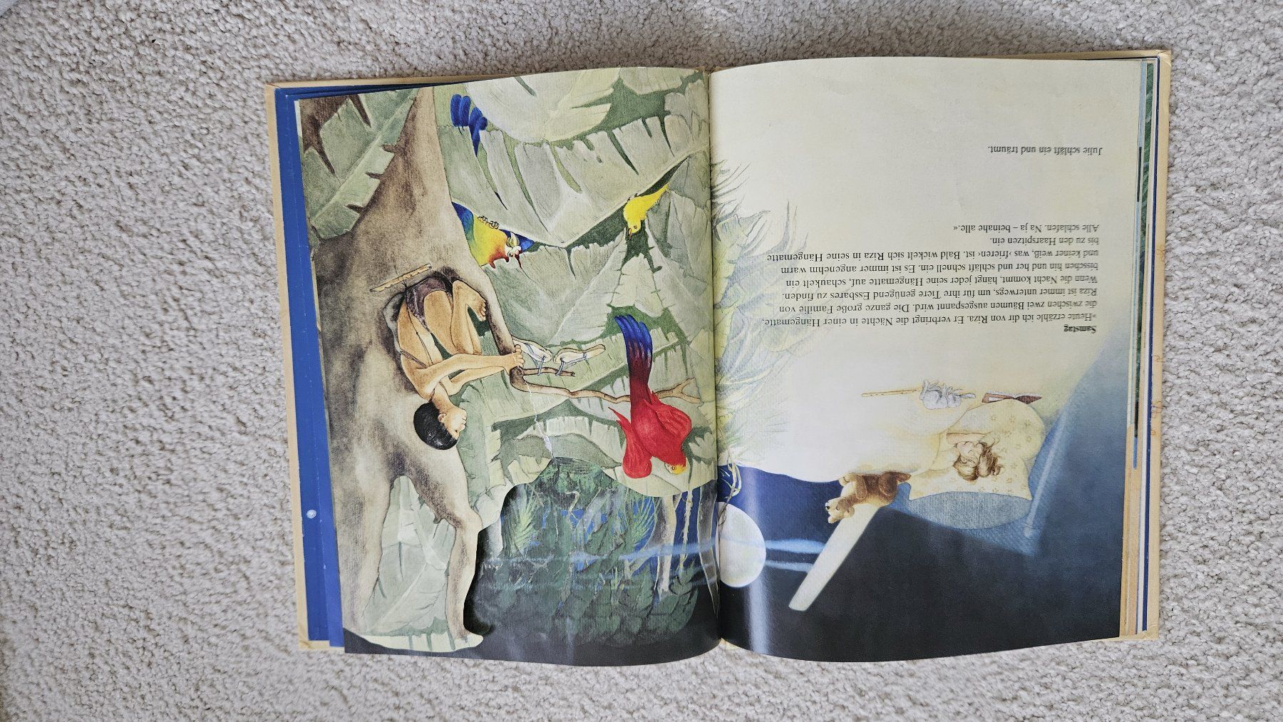 Libri: Zwei Kinderbücher Bilderbuchgeschichte Einschlafbuch – Usato da Gossau SG venduto da dolores_x 7