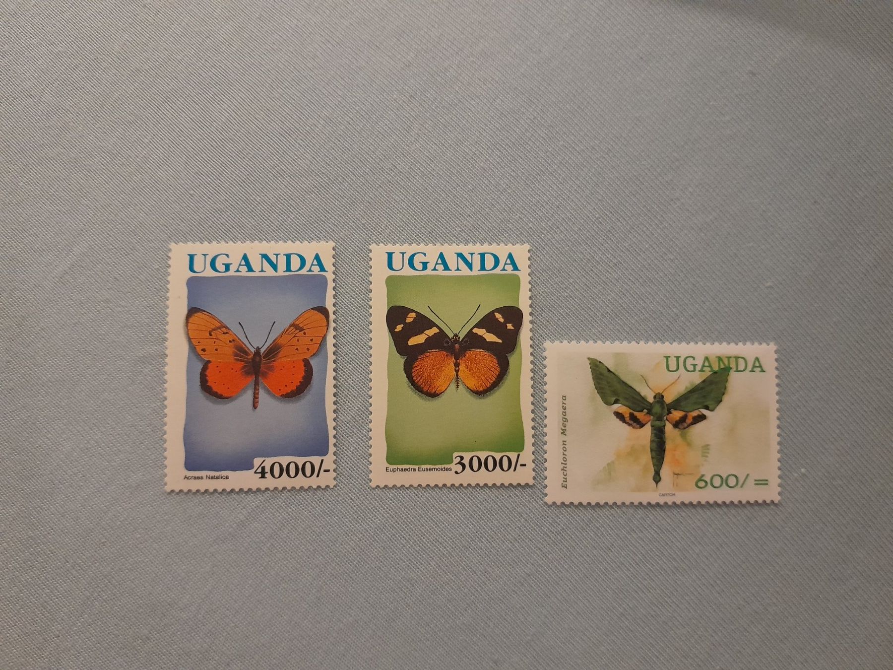 Tutti i francobolli: Uganda Briefmarken Schmetterlinge ** – Nuovo (secondo la descrizione) da Marly venduto da globetrotter1723