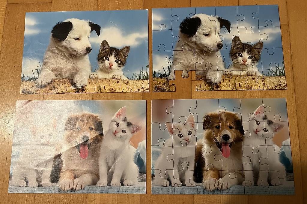 Ravensburger Puzzle: Ravensburger Puzzle 2x24, ab 4 Jahren – Usato da Kirchberg BE venduto da qualle01 2