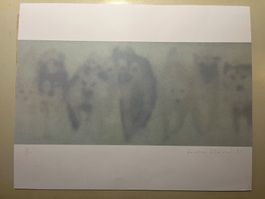 druck, wölfe oder hunde, caroline elsner, 5 /80