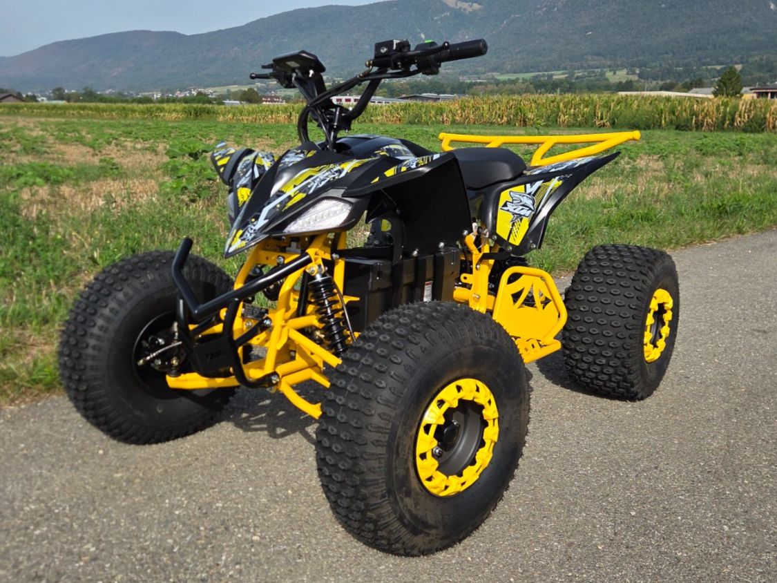 Mini Quad: Elektro Kinder Quad – Nuovo (secondo la descrizione) da Selzach venduto da Fiutschy