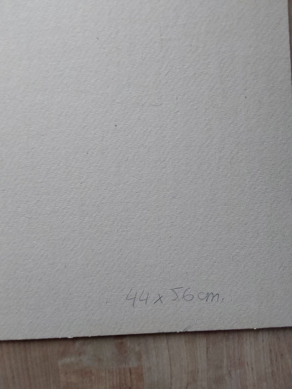 Grafica & Litografie: Werner Weiskönig Original Lithographien 2xzusammen. – Usato da Steinach venduto da Chilli1957 6