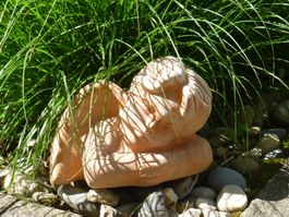 Gartendekoration, Raumdekoration, Grabdekoration