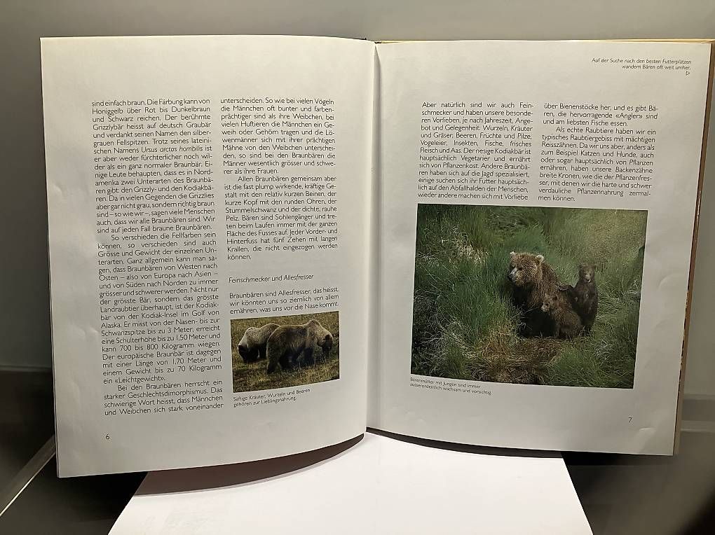 Libri: Kinderbuch der Bär – Usato da Bronschhofen venduto da Oggy0 1