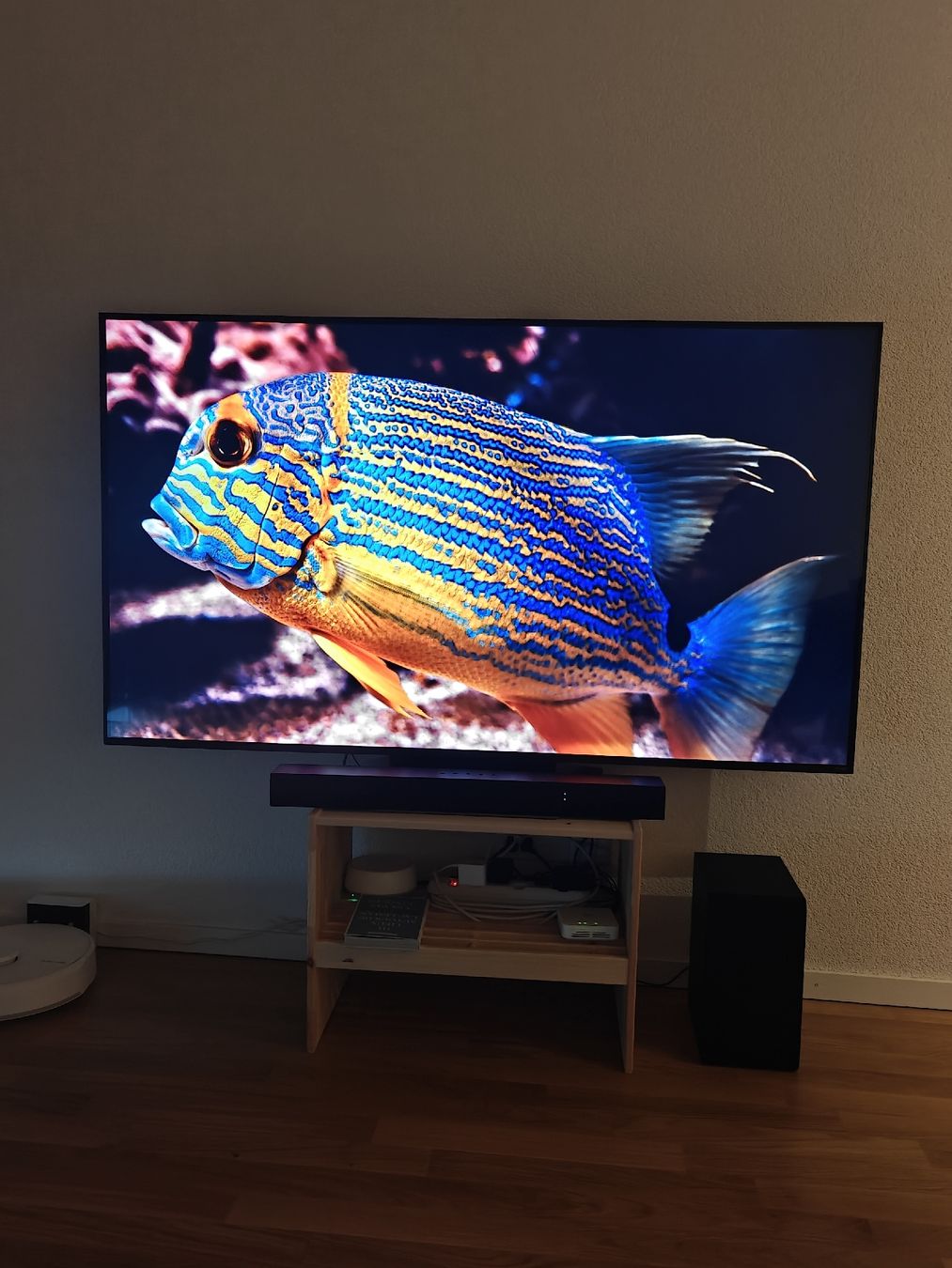 Fernseher: TV QLED LG 65" Smart TV  – Neu (gemäss Beschreibung) aus Lausanne von gio_b7pb 1