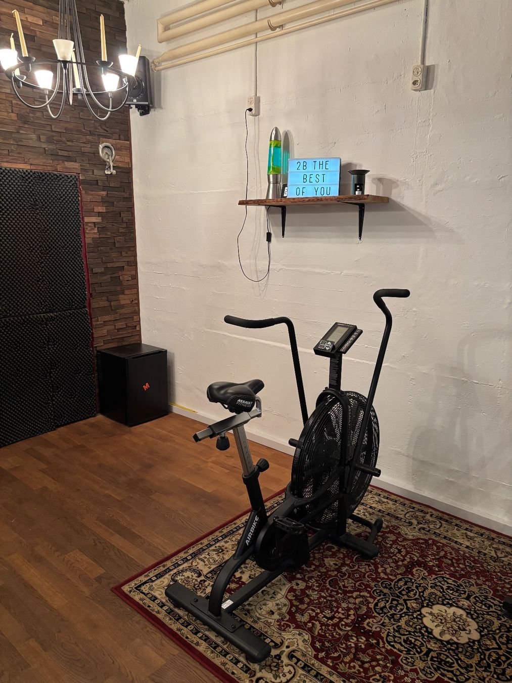 Hometrainer: Assault Airbike Classic – Usato da Zürich venduto da BenJoMusic 2