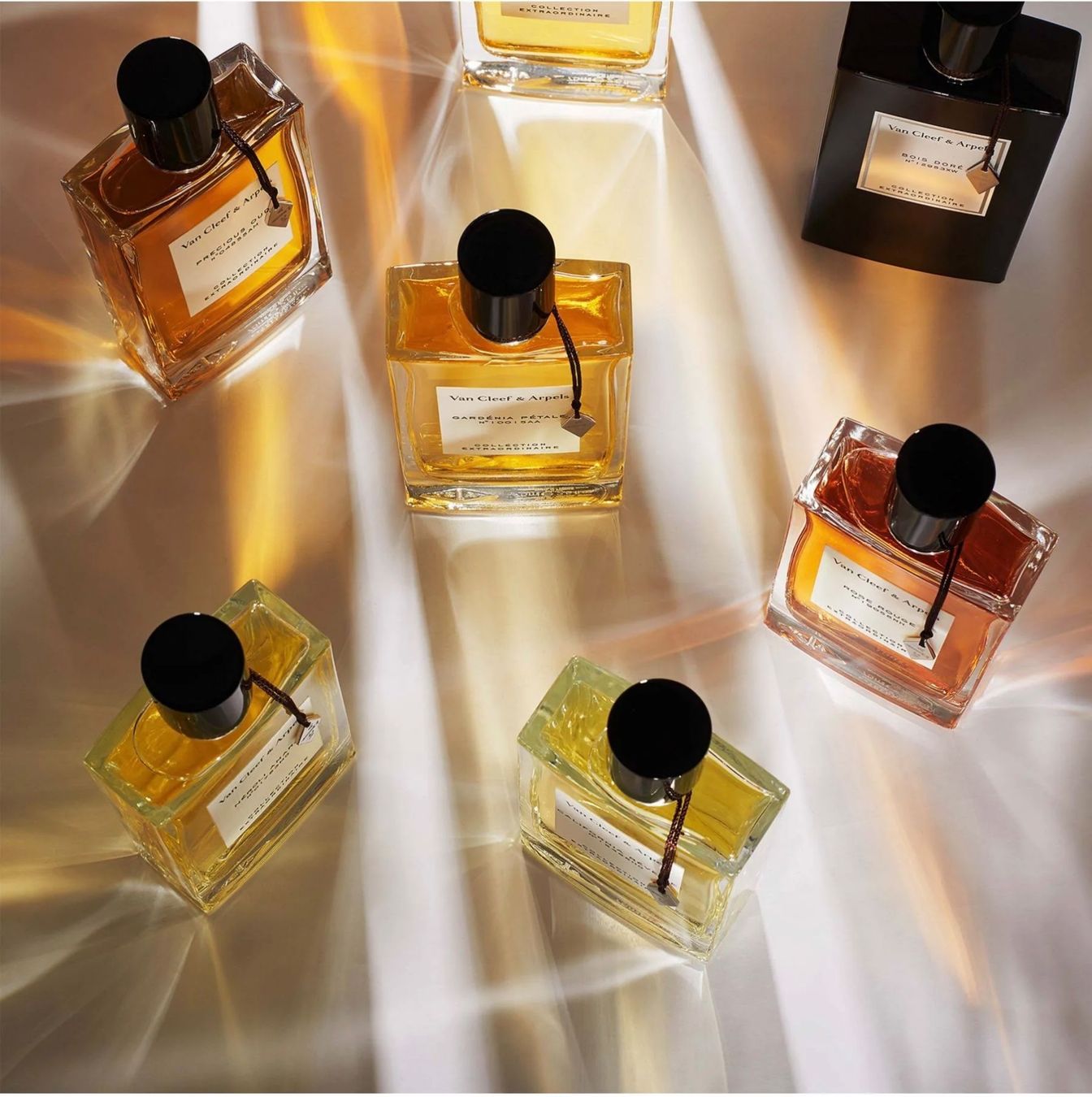 Van Cleef Parfum & Eau de Toilette: Santal blanc Van Cleef & Arpels 12 ml sample – Neu (gemäss Beschreibung) aus Chêne-Bougeries von Seetooyoo 6