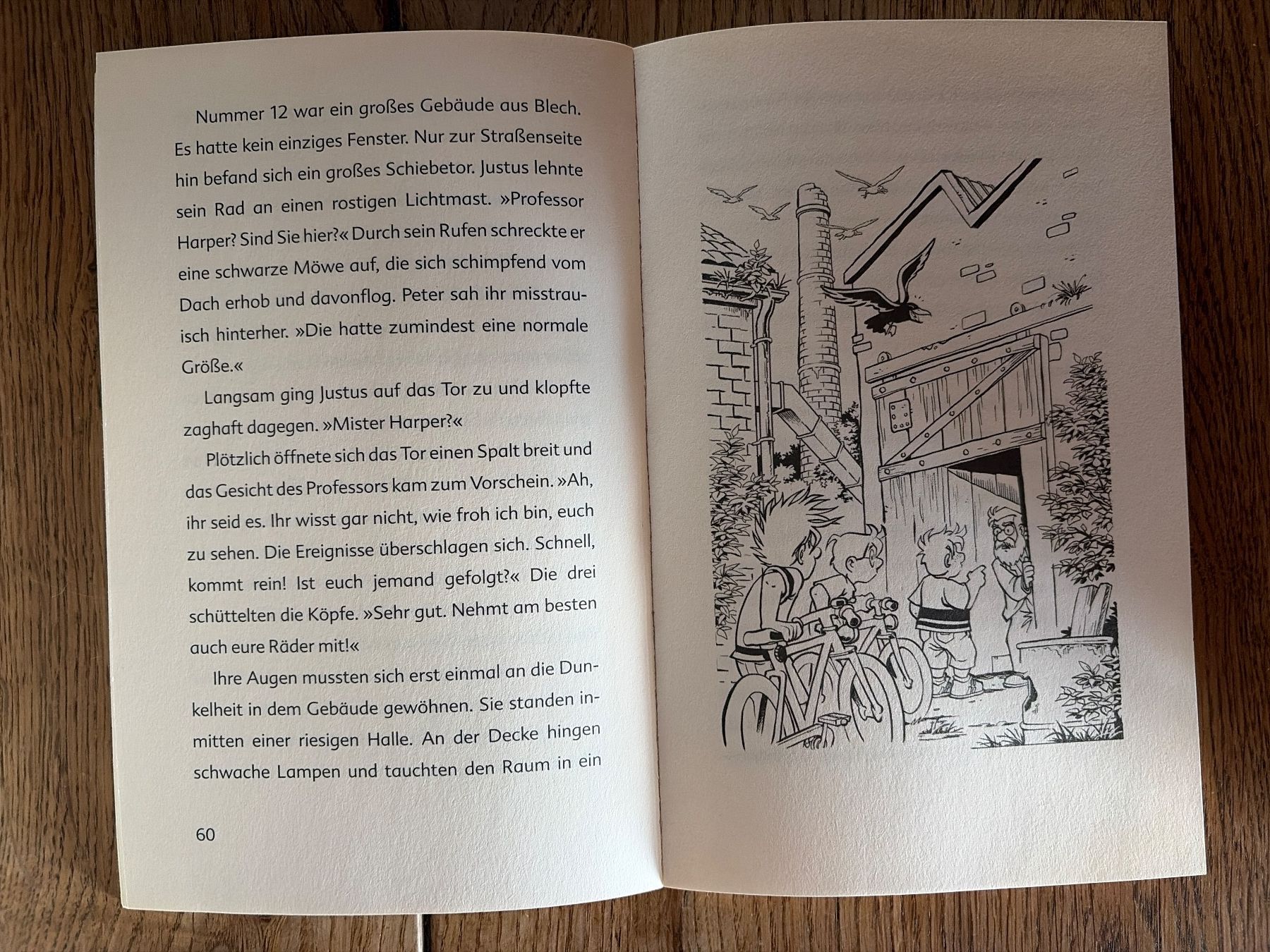 Libri: Die drei Fragezeichen Kids – Usato da Wichtrach venduto da angizmo 2