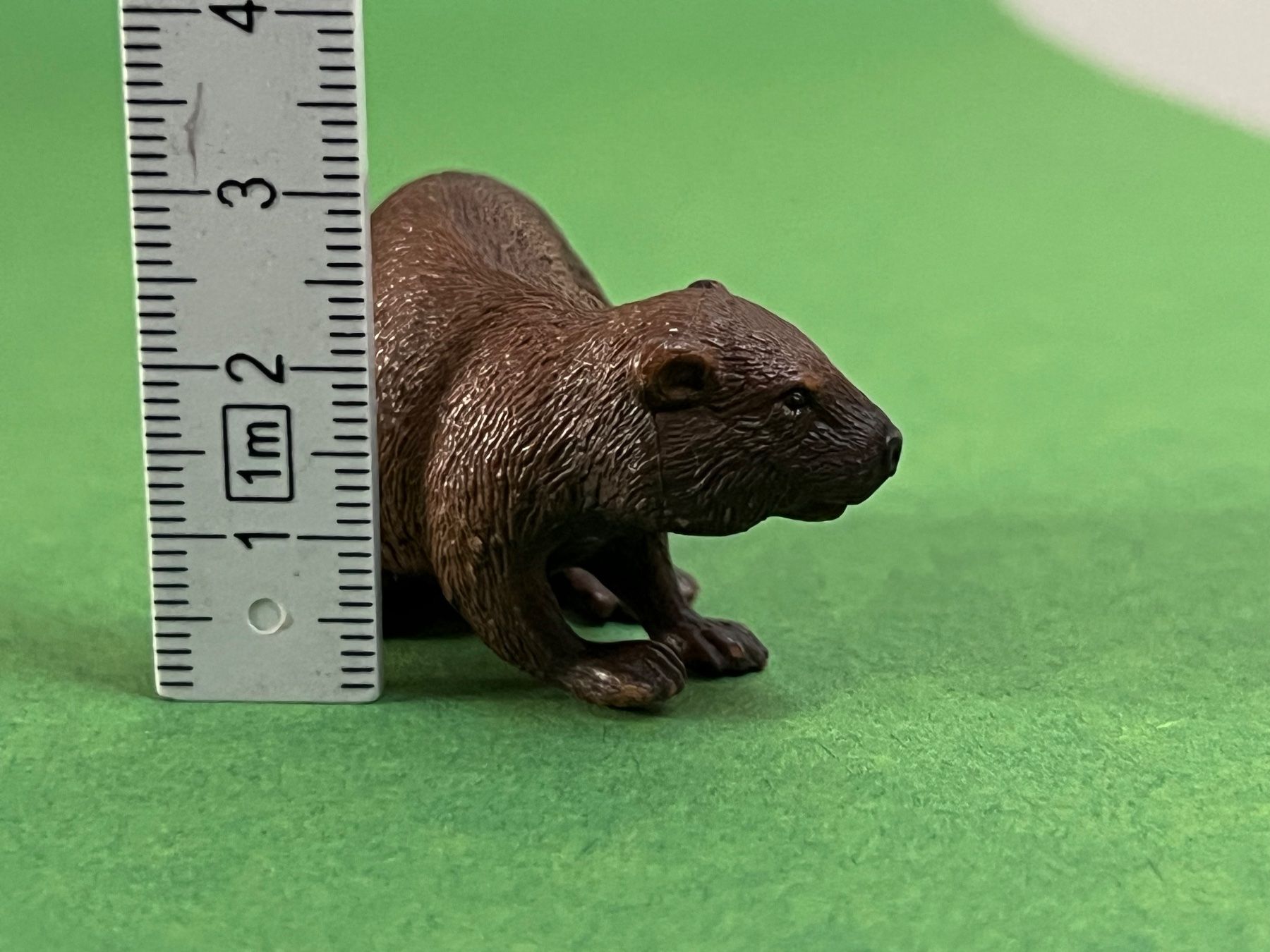 Schleich Statuette: Schleich Biber 14693 Tier – Usato da Ennetbaden venduto da mapa05 2