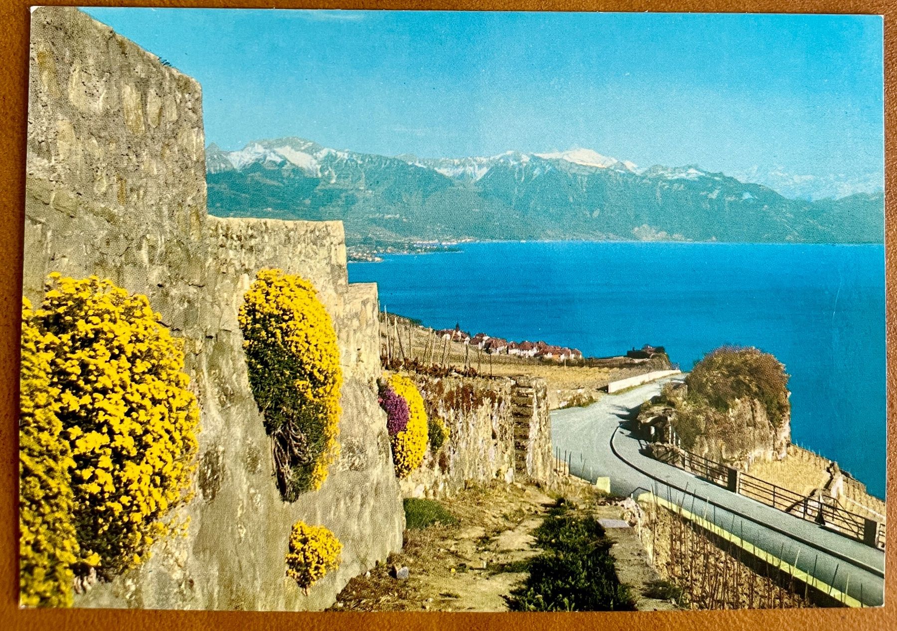 Cartoline postali: RIVAZ - Depuis le Corniche – Usato da Lutry venduto da Ediego