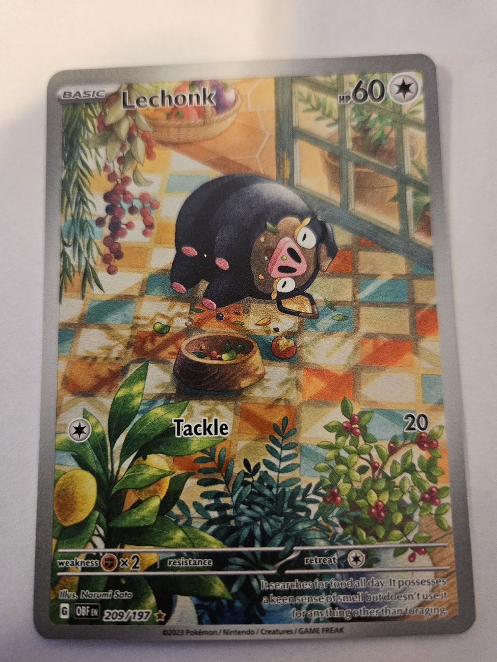 Pokémon Carte collezionabili: OBF EN 209/197 Lechonk – Usato da Aarau venduto da san_pb85