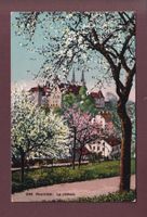 NEUCHÂTEL - Château au Printemps - 1918