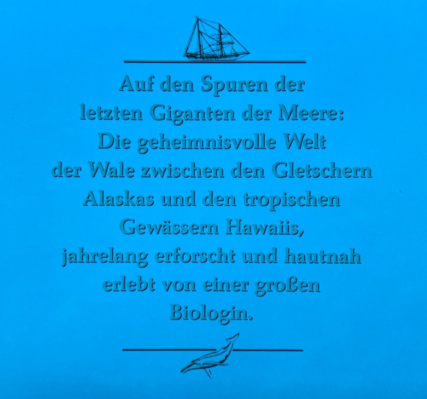 Libri: Buch Reisen mit den Walen – Usato da Lodrino venduto da Stema 1