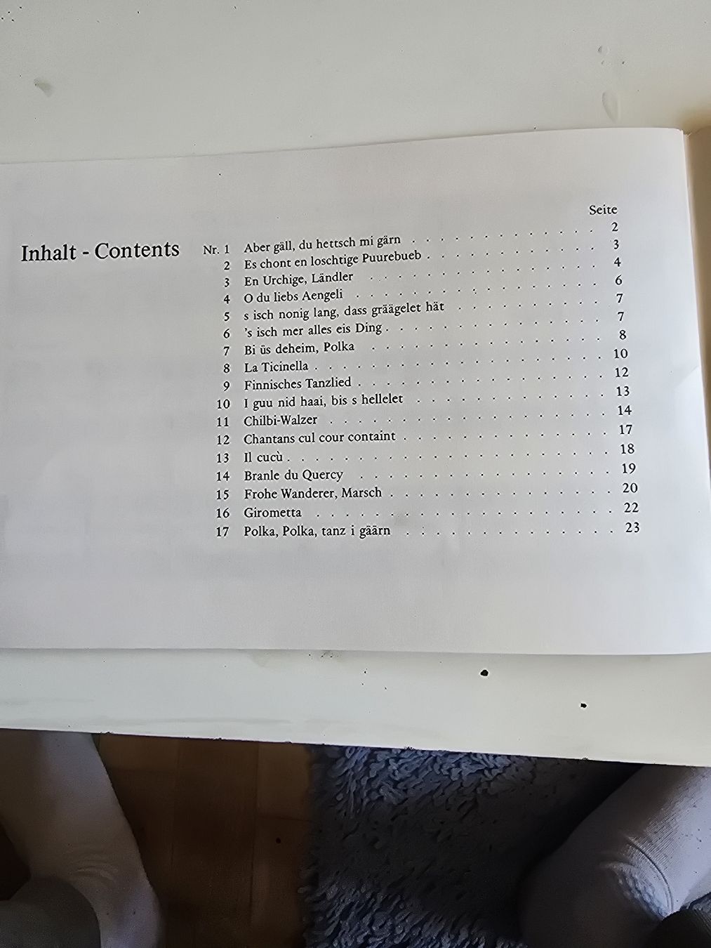 Libri: Notenheft "Fringelium und OppSassa" – Usato da Oberbüren venduto da Elk2025 1
