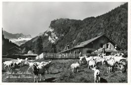 Pont de Nant   VD  sur Bex et Dents de Morcles
