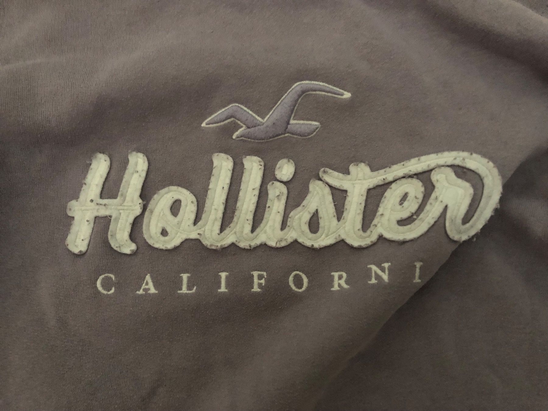 Hollister Maglioni & Felpe: Hoodie - Hollister - Grösse M – Usato da Oberuzwil venduto da Tomsi_9 1
