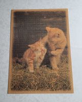 Katzen Poster Bild aus Kork-Puzzle 47.5 x 68cm NUR ABHOLUNG