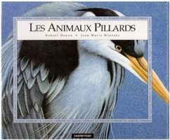Les Animaux Pillards  - Casterman Beau Livre Album Illustré
