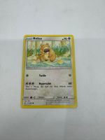 Pokemon-Karte Bidiza 171/236
