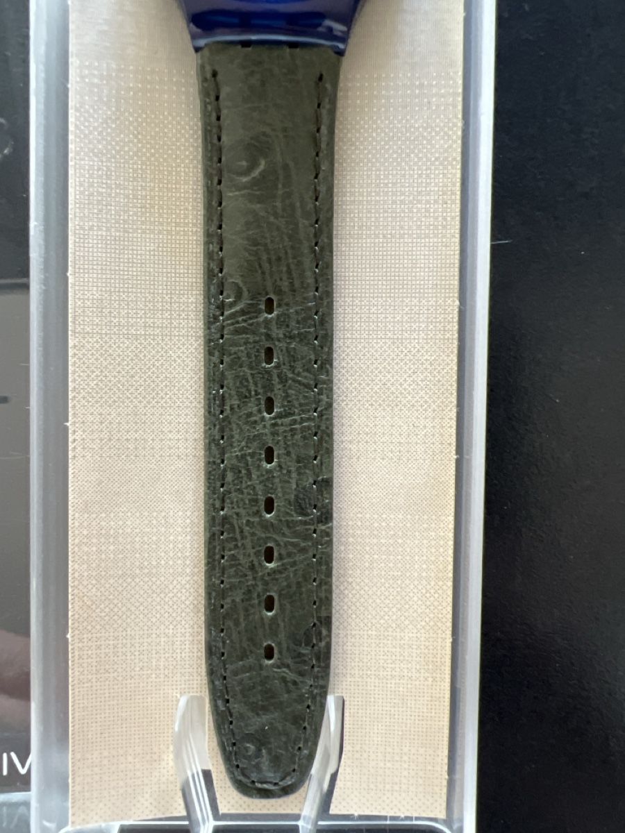 Swatch Orologi: Swatch Automatic (SAN102) Baeru – Nuovo e nell'imballaggio originale da Künten venduto da Spike17 4