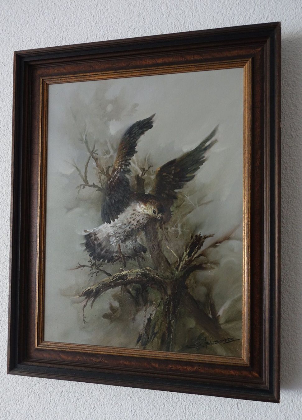 Dipinti: Gemälde Greifvogel – Usato da Dottikon venduto da Pega7 2
