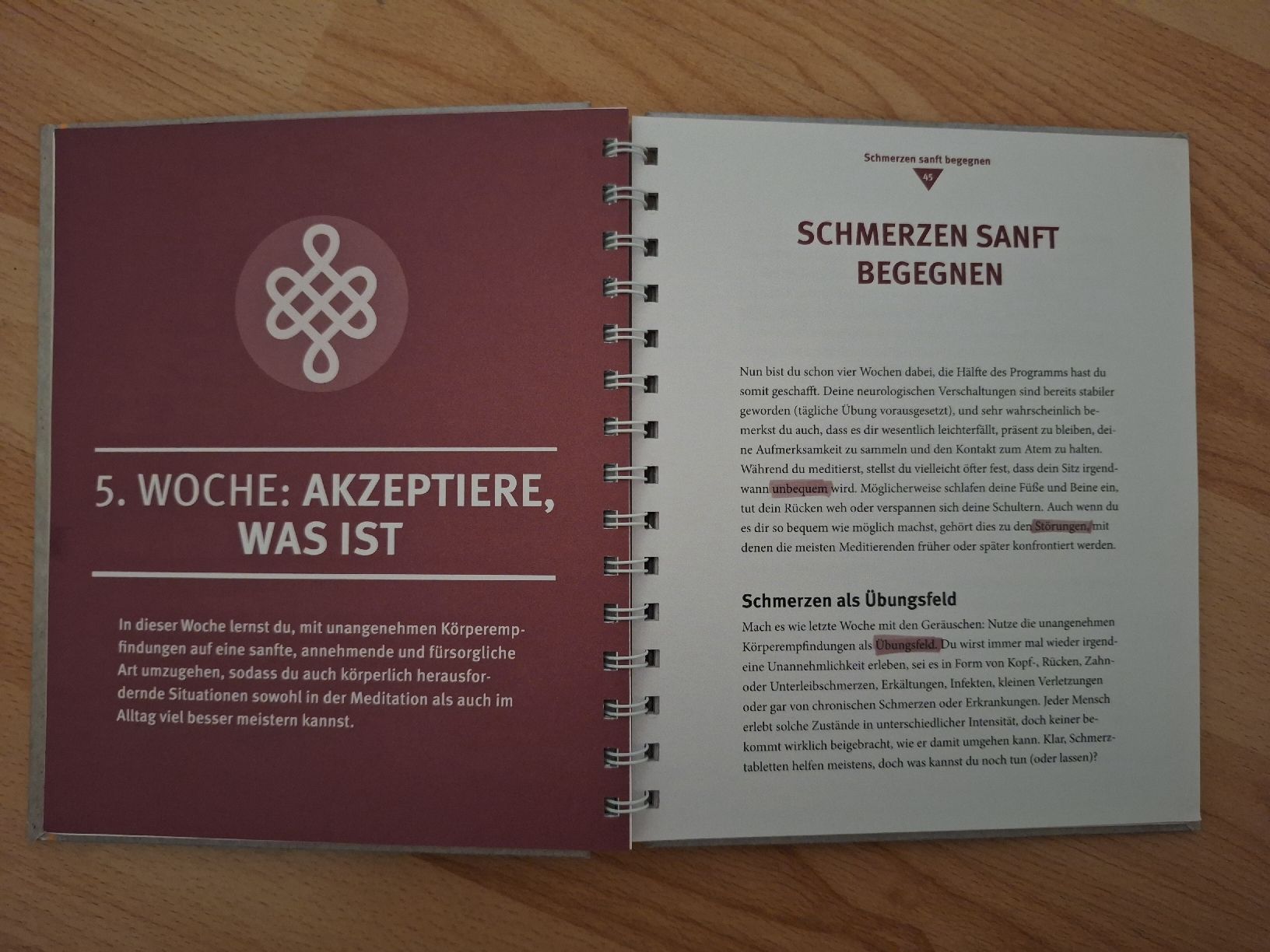 Bücher: Crashkurs Meditation, Buch mit Audio-CD, GU – Gebraucht aus Kreuzlingen von ng3 1