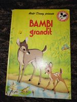 Bambi grandit Mickey Club par Walt Disney