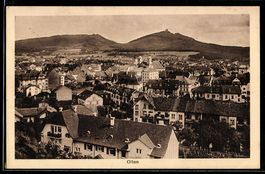 AK Olten, Totalansicht mit Wohnhäusern und Bergpanorama