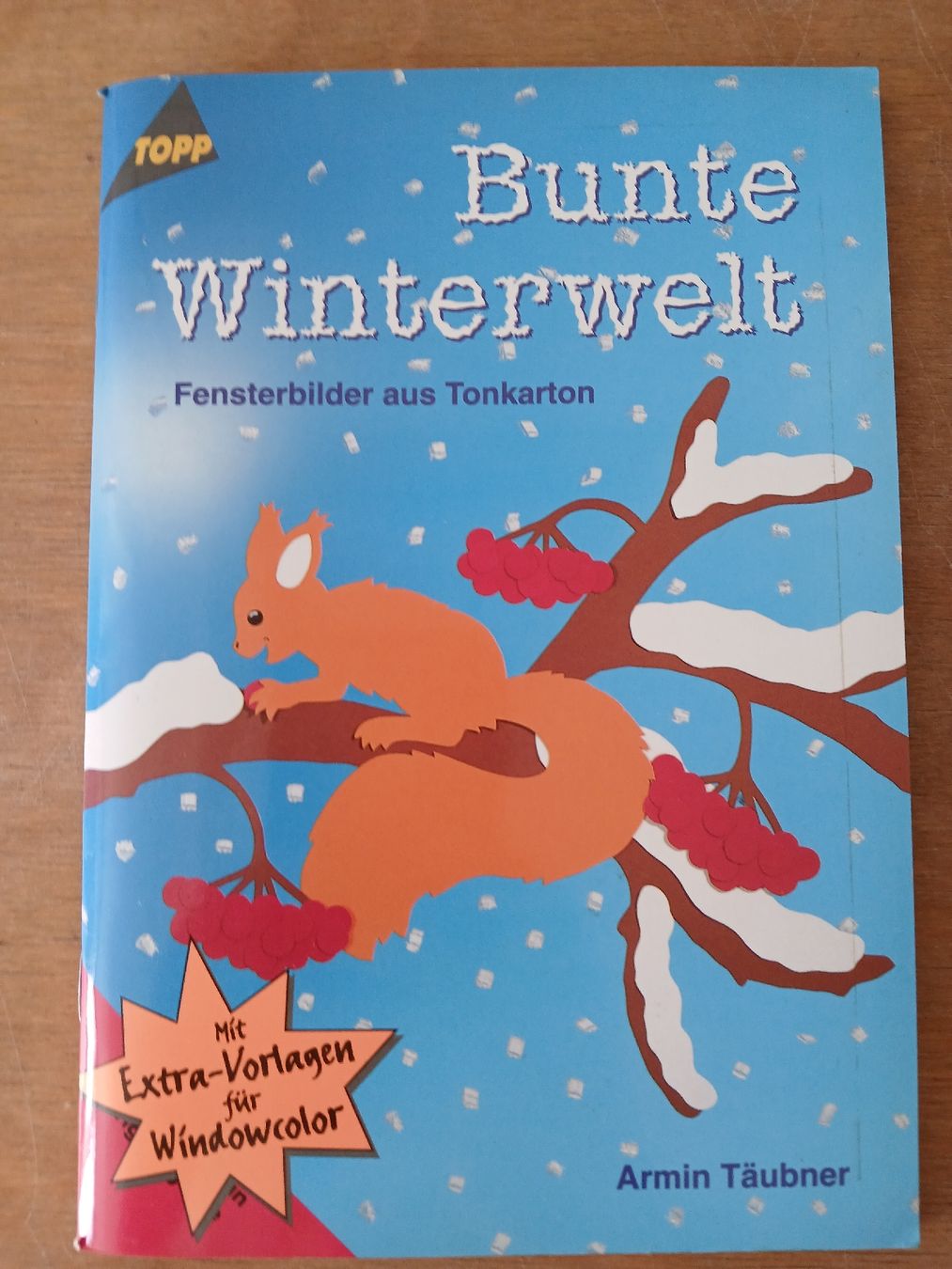 Libri: Bastelbuch – Usato da Ennetmoos venduto da kch_2tpv