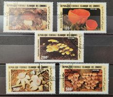 KOMOREN / COMORES – PILZE / CHAMPIGNONS