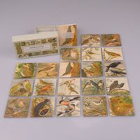 Vogel-Merkspiel mit 20 Bildpaaren