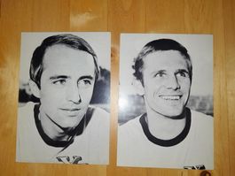 Alte yb..  bsc young boys bern autogrammkarten schweiz