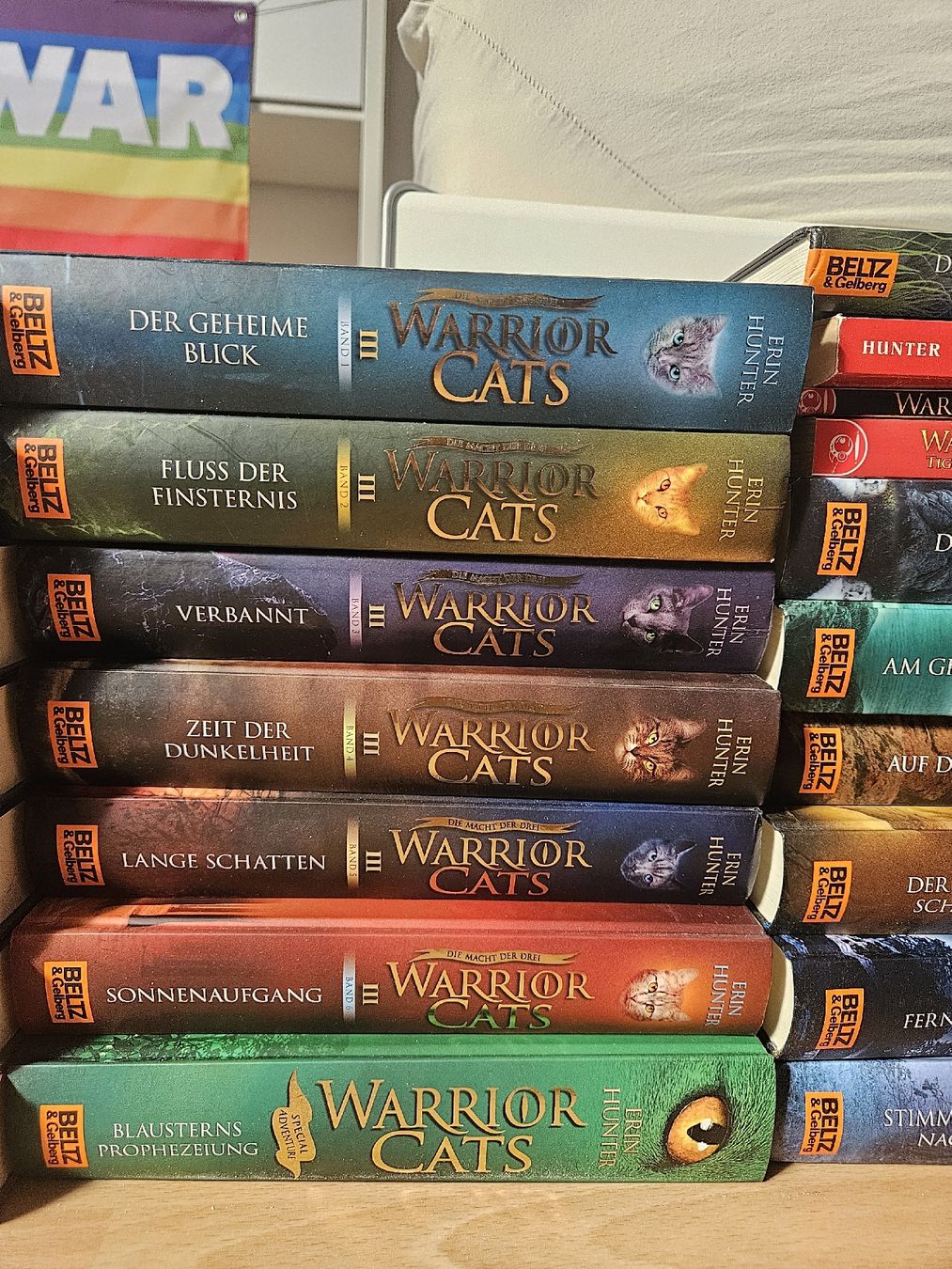 Livres: Warrior Cats Bücher + Comics + Seekers Erin Hunter – D'occasion à Laufenburg par tinayv 3