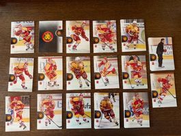 Traiding Card/Lockoutsaison 2012-2013/Langnau/Base Card