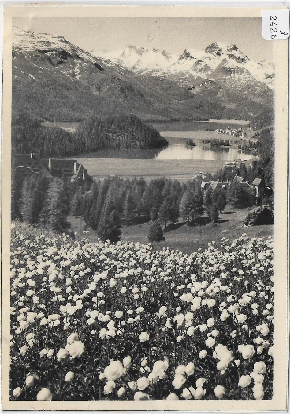 CD: Am Silvaplanasee - Printemps au lac de – Antico da Ettingen venduto da Kartenplanet