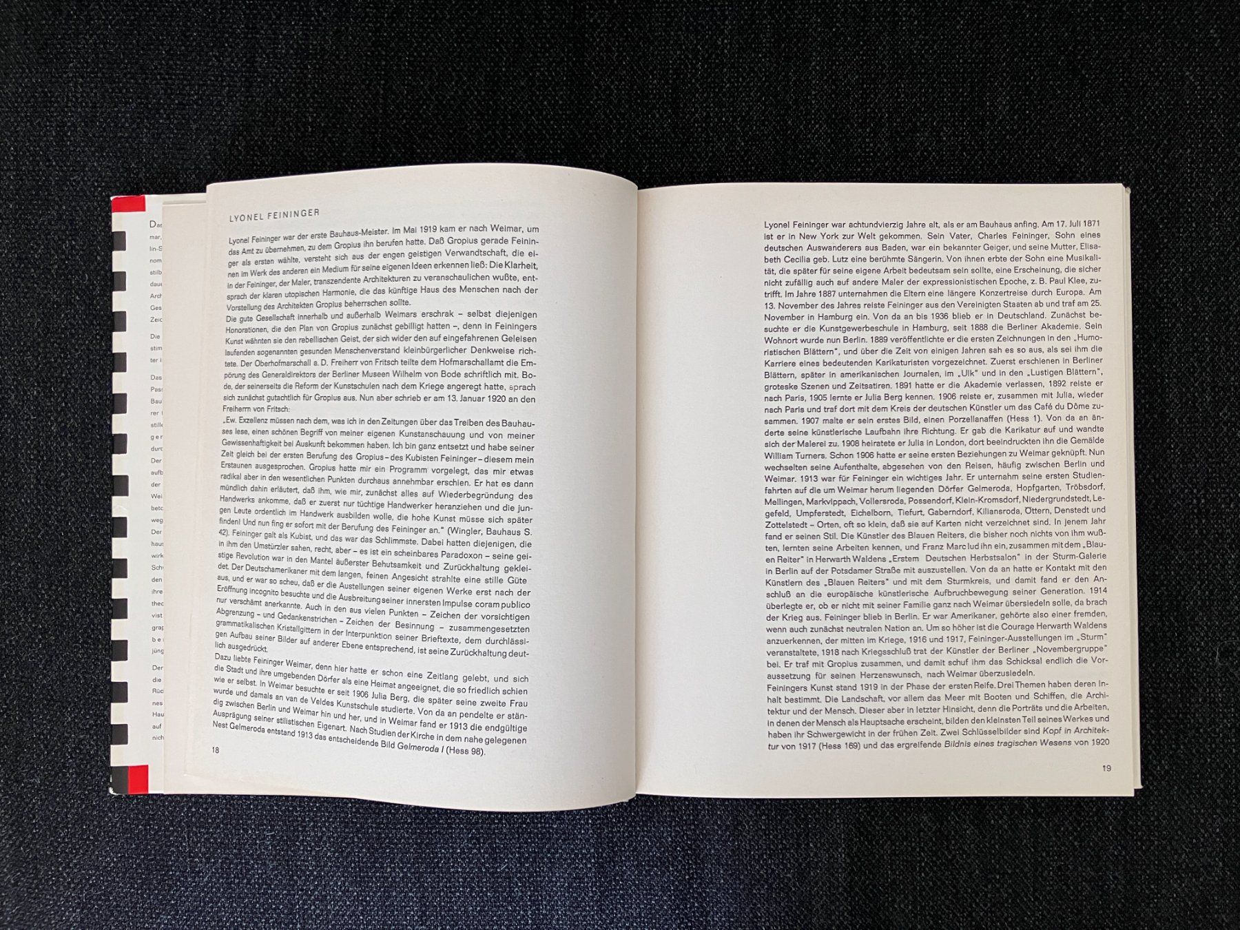 Libri: Maler am Bauhaus – Usato da Adliswil venduto da lauryyrual 1