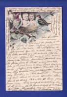 ENFANT - Bébés dans le nid