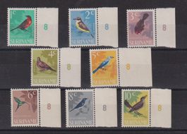 Suriname: Serie Vögel 1966 / postfrisch