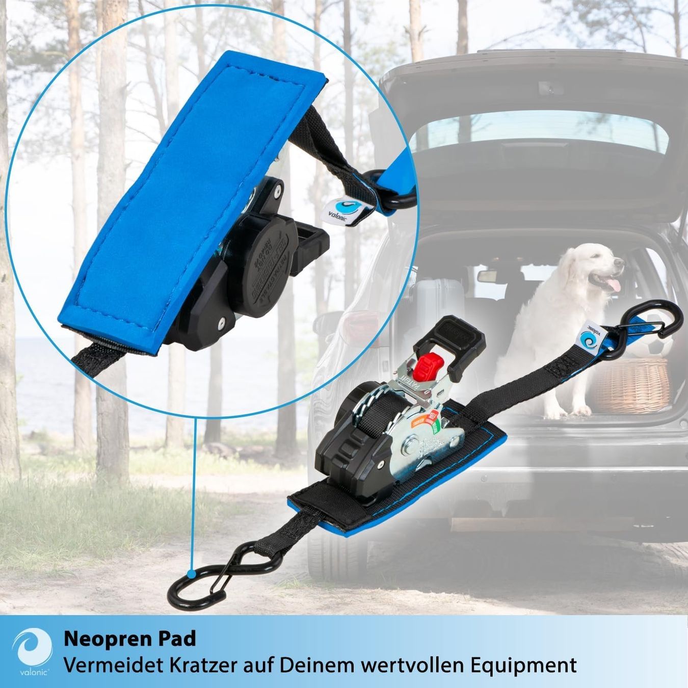 Tutti gli attrezzi: Spanngurte Automatik 2m 2er Set 150kg Mini – Nuovo e nell'imballaggio originale da Suhr venduto da TradeMasters 3