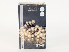 STAR TRADING BERRY Outdoor Lichterkette