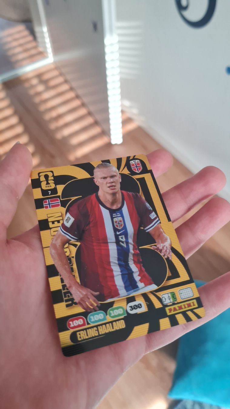 Panini Carte collezionabili: golden baller erling haaland – Usato da feuerthalen venduto da data34