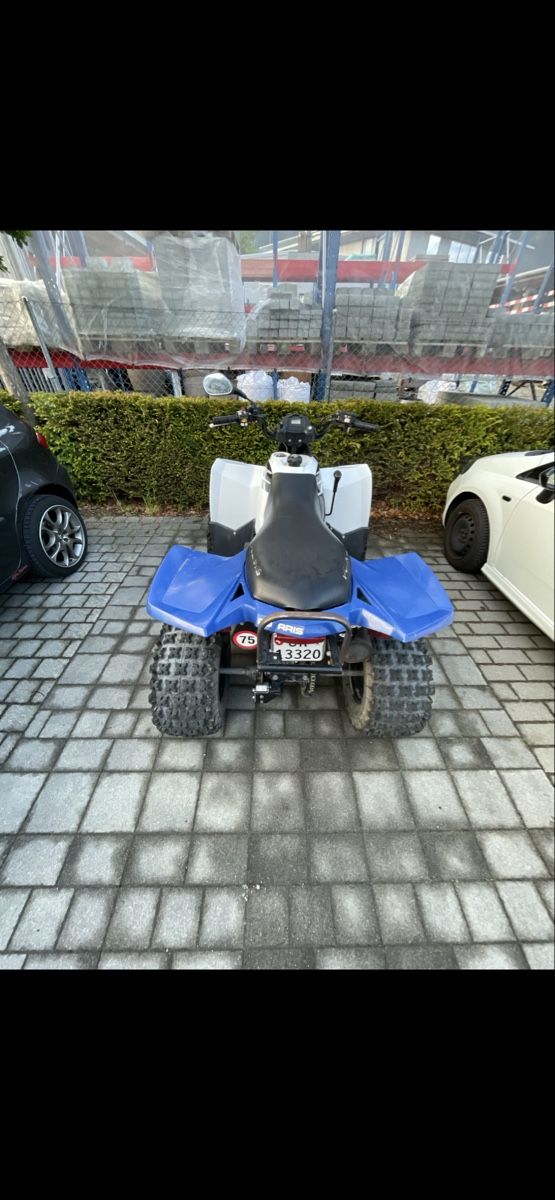 Polaris Quads: Polaris Scrambler 500E – D'occasion à Domat/Ems par gus_7ypk 4