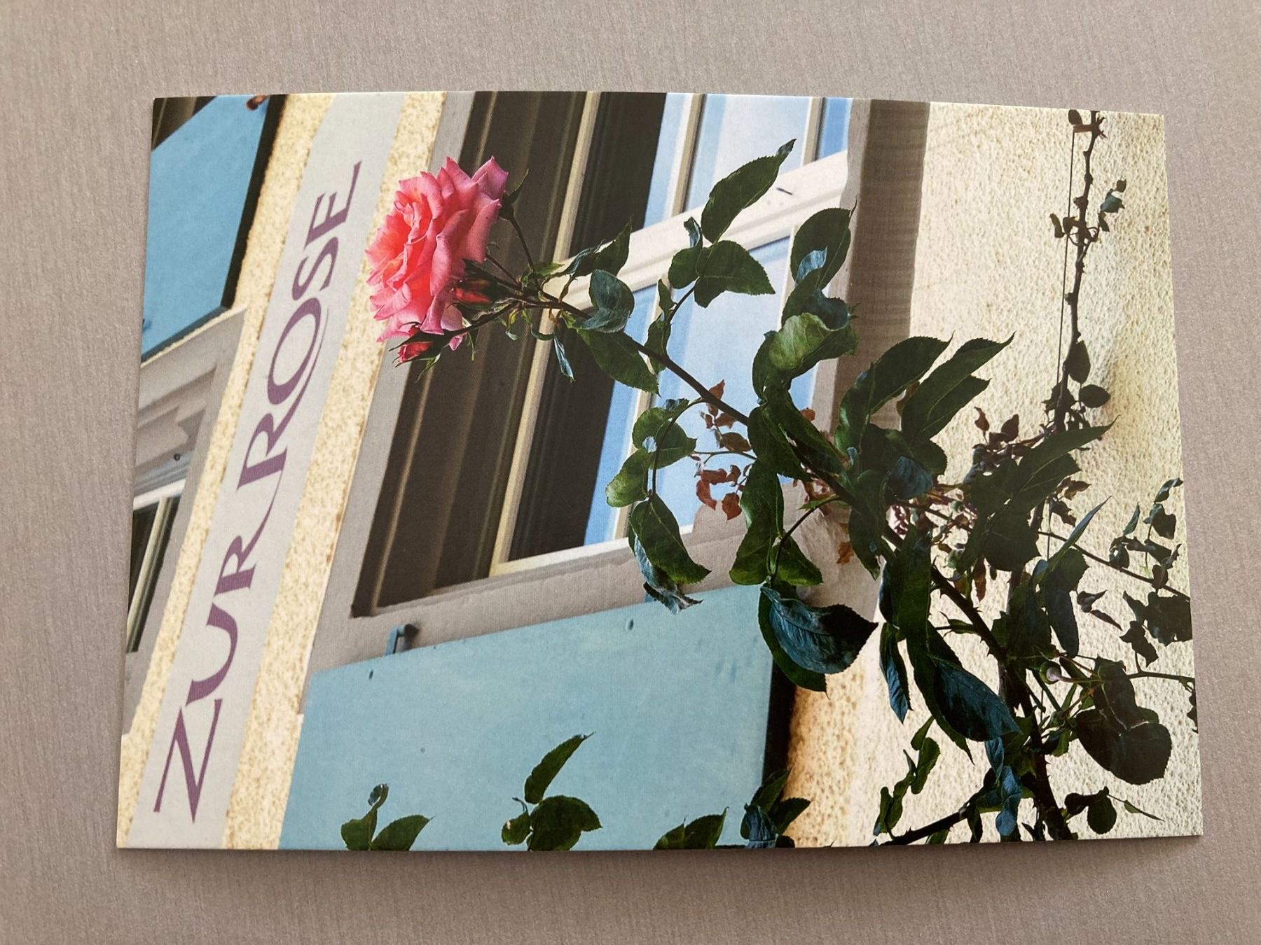 Ansichtskarten: Postkarten Blumen – Neu und originalverpackt aus Obfelden von miau68 6