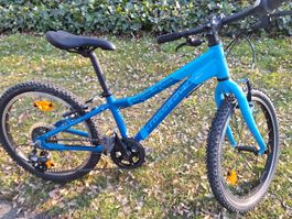 Kindervelo Crosswave Prime Rider 20 Zoll