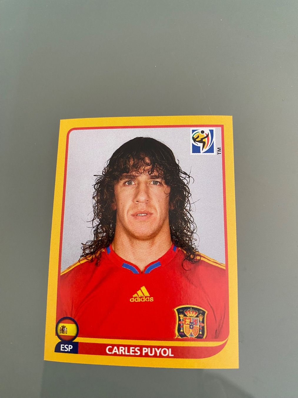 Panini Carte collezionabili: Panini WM 2010 Carles Puyol – Nuovo (secondo la descrizione) da Zollikofen venduto da Shiraga
