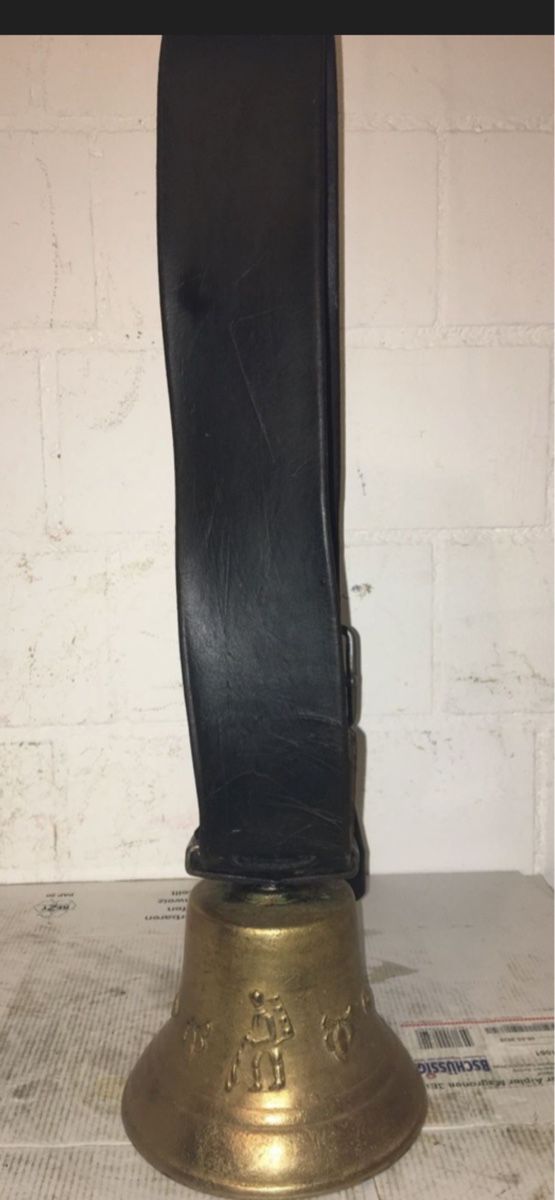 Campanacci mucche: Clocher Alberbano Jean Curty – Usato da Lessoc venduto da Warrior12 2
