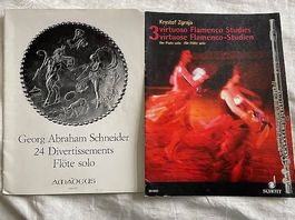 2 Musiknoten für Flöte solo