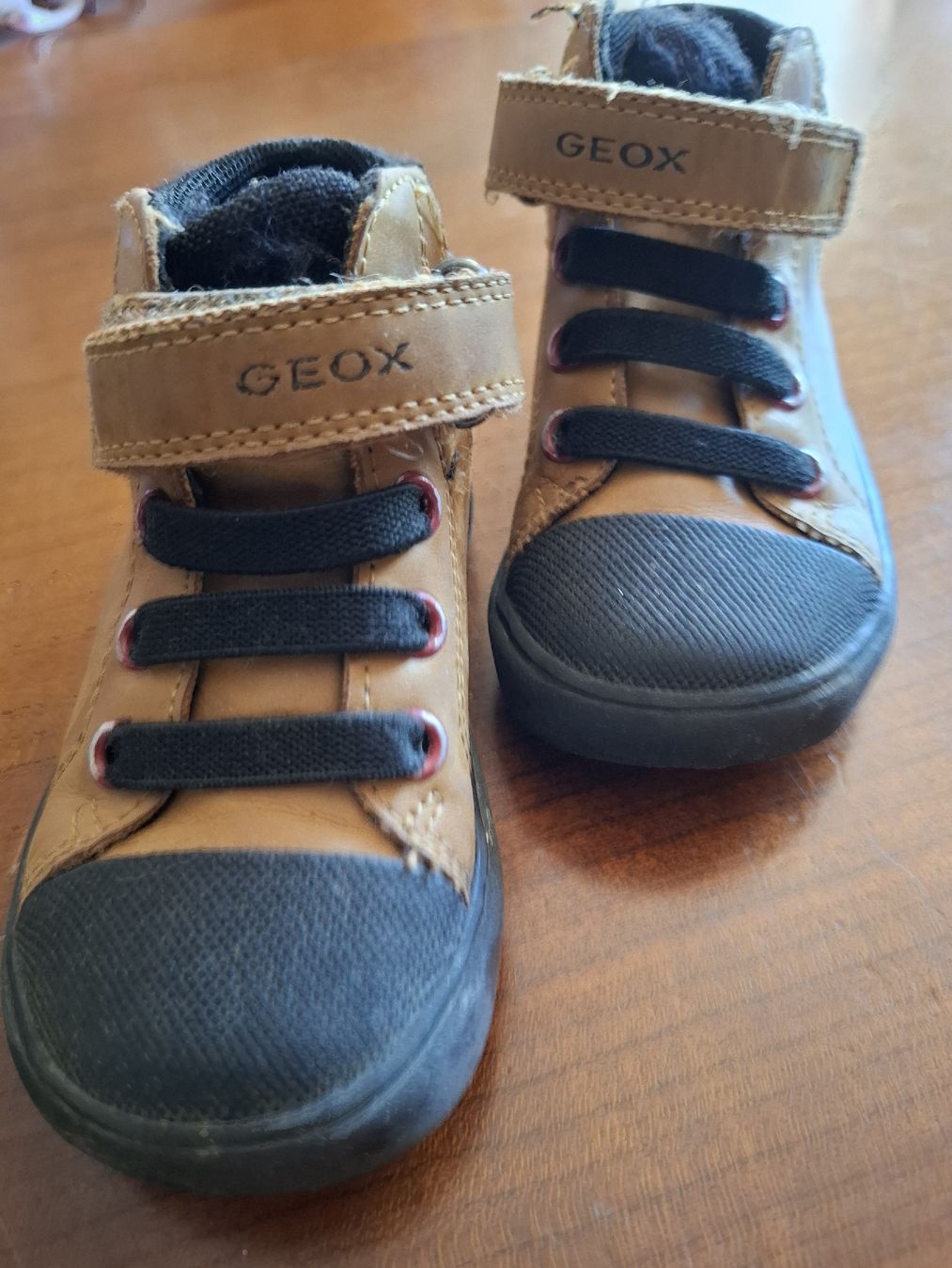 Geox Scarpe per ragazzi: Geox bimbo scarponcini 21 – Usato da Viganello venduto da sor_dcq8