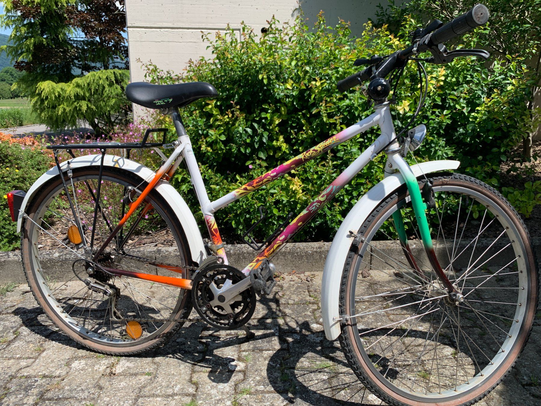 Biciclette: Citybike – Usato da Seedorf BE venduto da malikiki 1